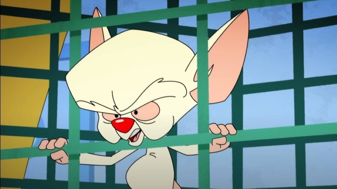 The Brain (Pinky and the Brain)