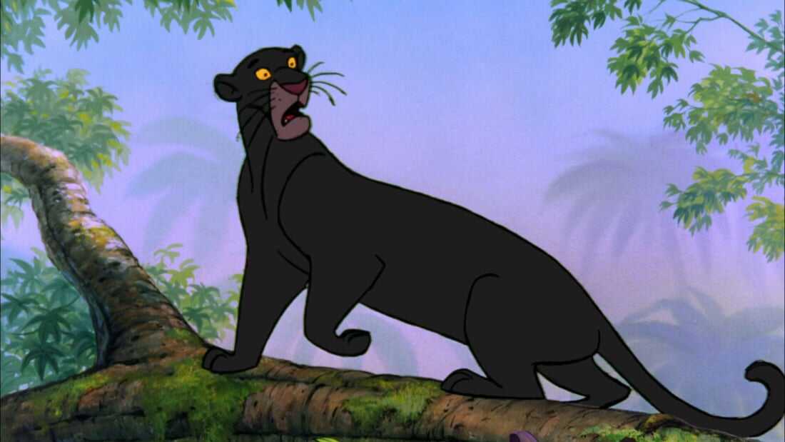 Bagheera