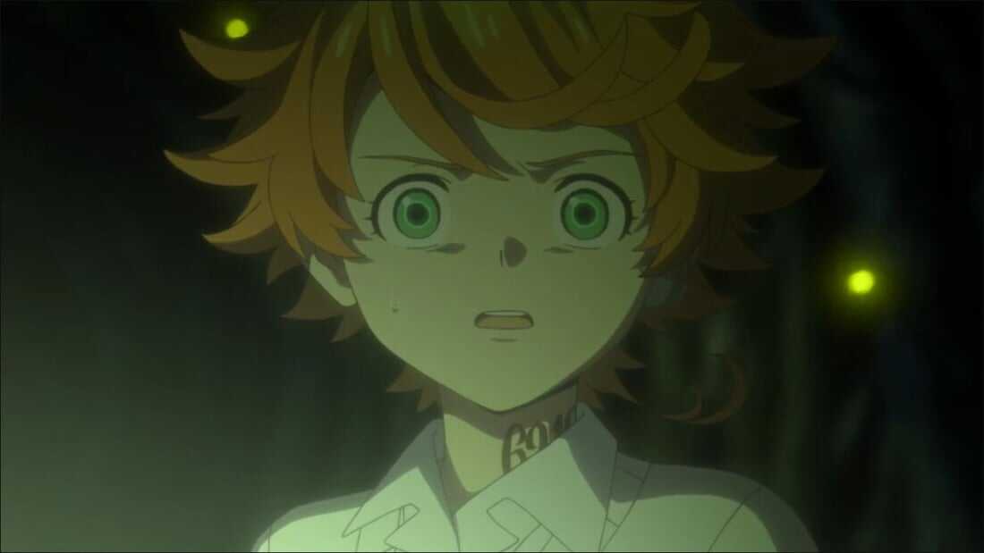 The Promised Neverland