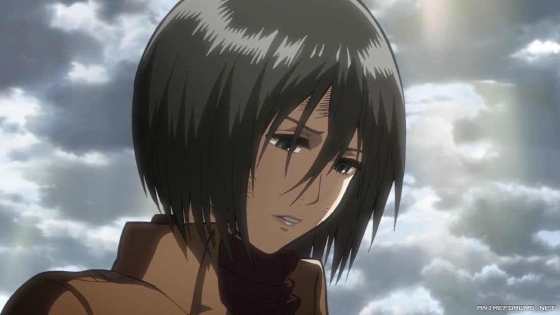 Ackerman Mikasa (Attack On Titan)