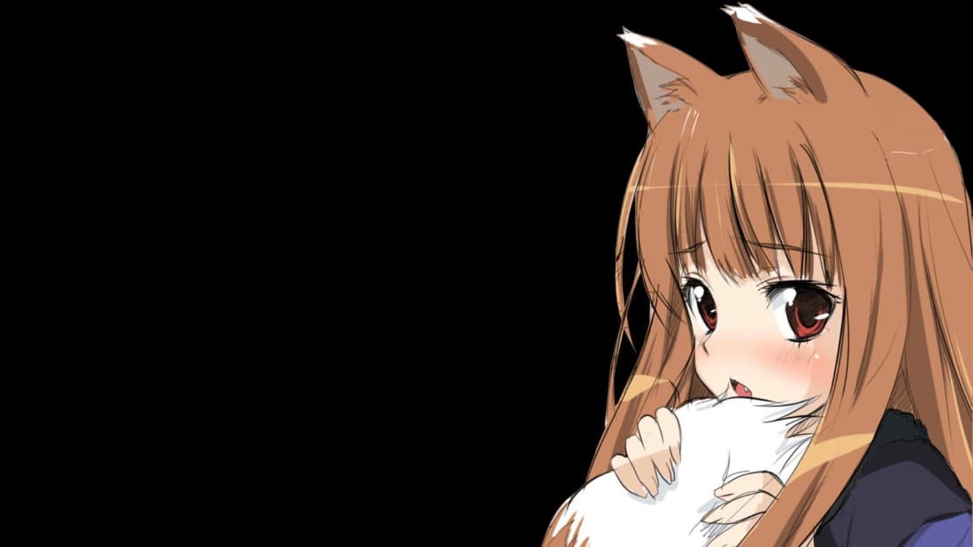 Holo the Wise Wolf