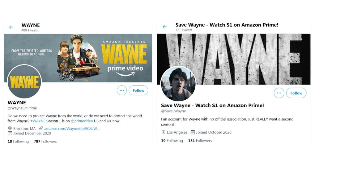 Wayne Season 2: Is It Renewed?