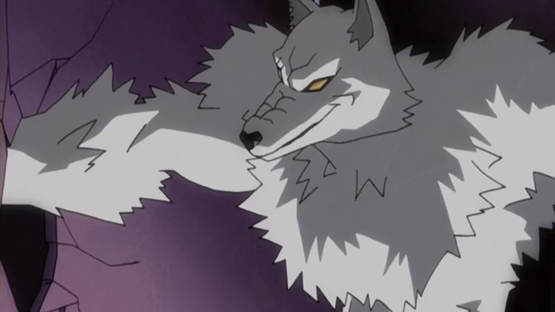 4 Vampire vs Werewolf werewolf anime HD wallpaper  Pxfuel