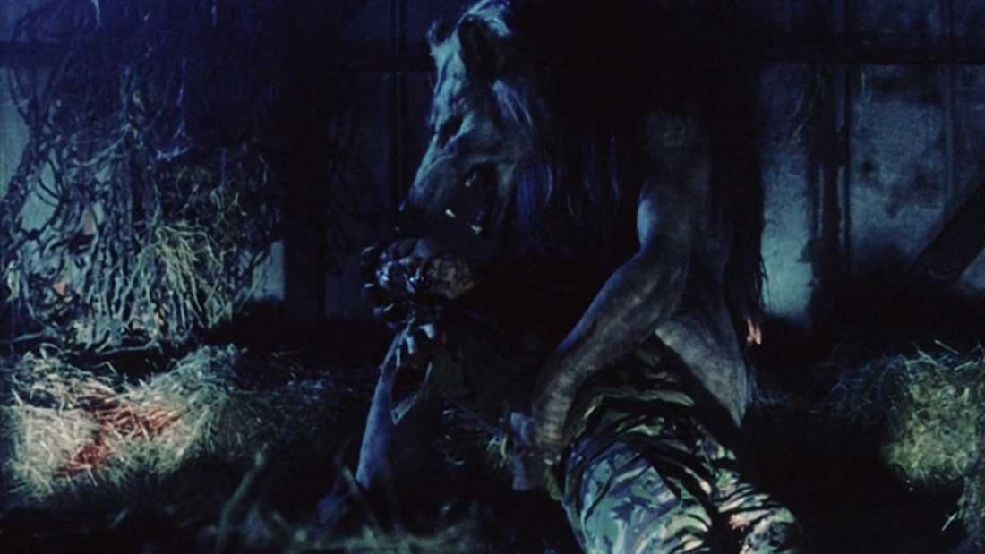 Dog Soldiers