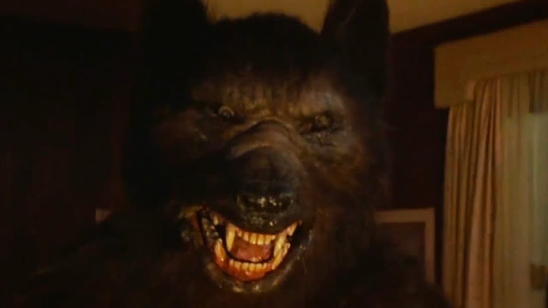 Wolves - Which #werewolf movies would you choose for the ultimate werewolf  movie-night in? There's only 2 weeks until the next full moon looms over  the UK! Unleash your inner beast and