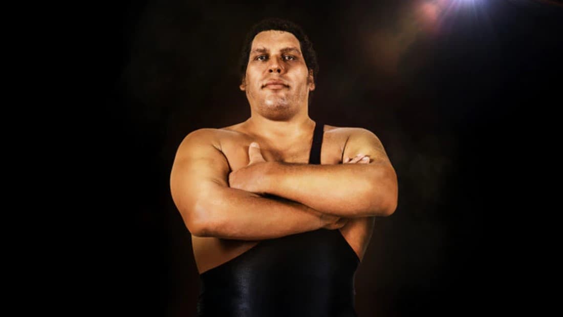André the Giant (2018)