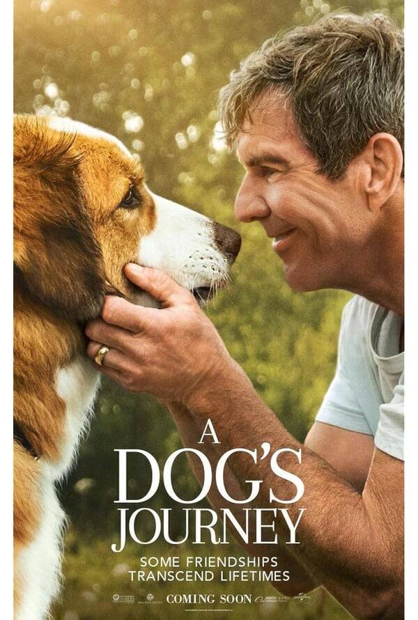 A Dog's Journey
