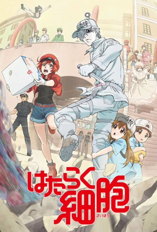 Cells at Work!