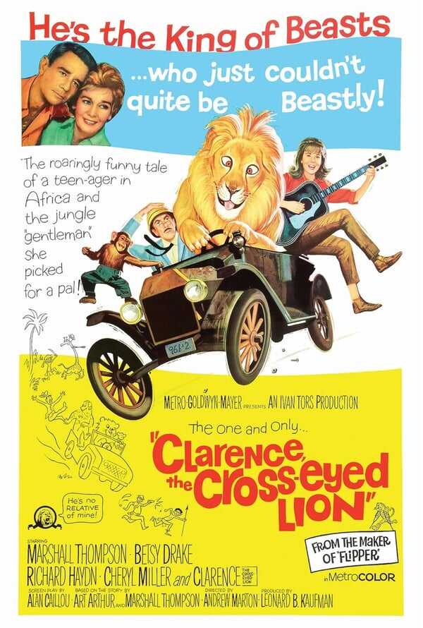 Clarence, the Cross-Eyed Lion