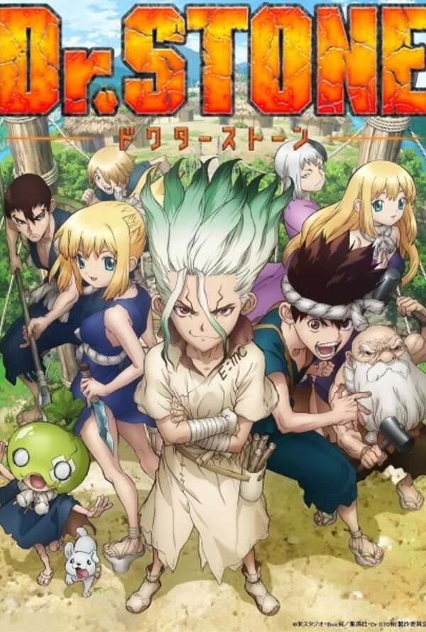 Dr. Stone