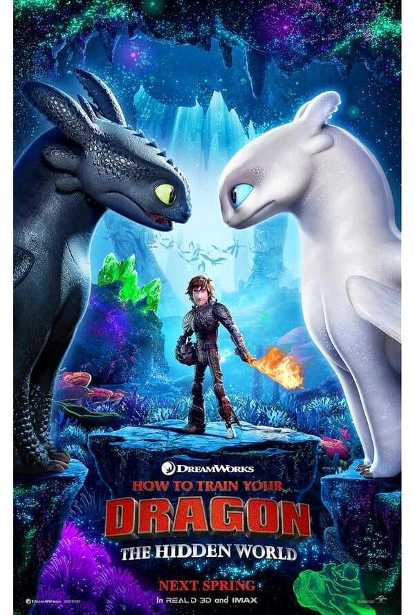 How to Train Your Dragon: The Hidden World