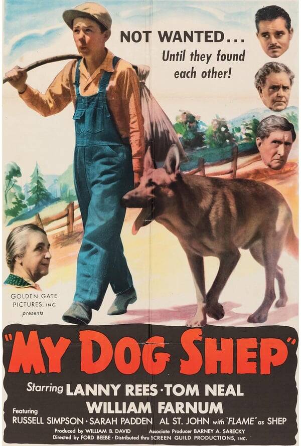 My Dog Shep