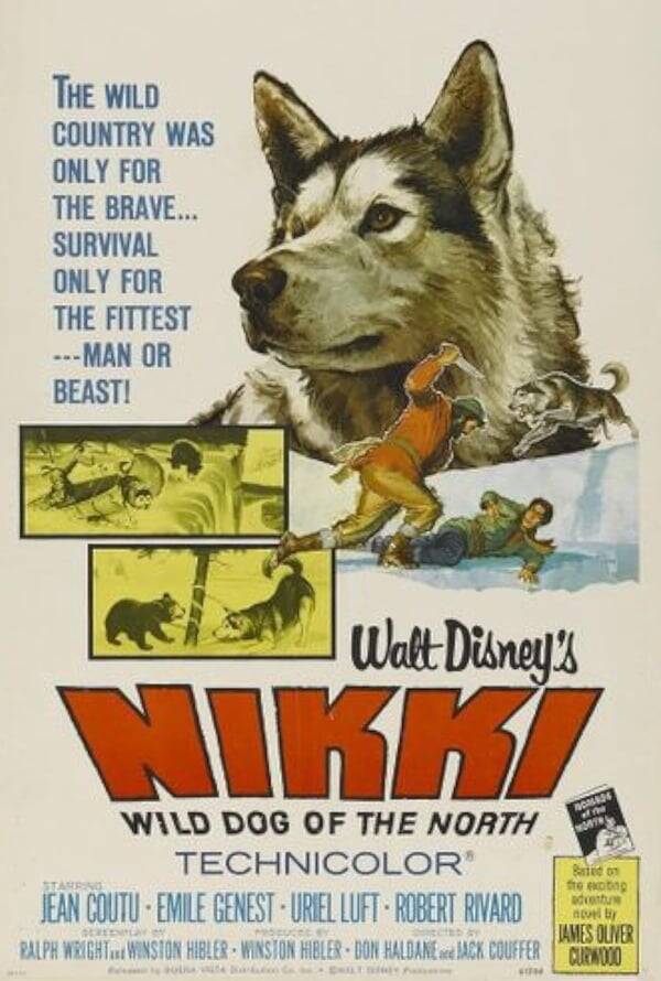Nikki, Wild Dog of the North