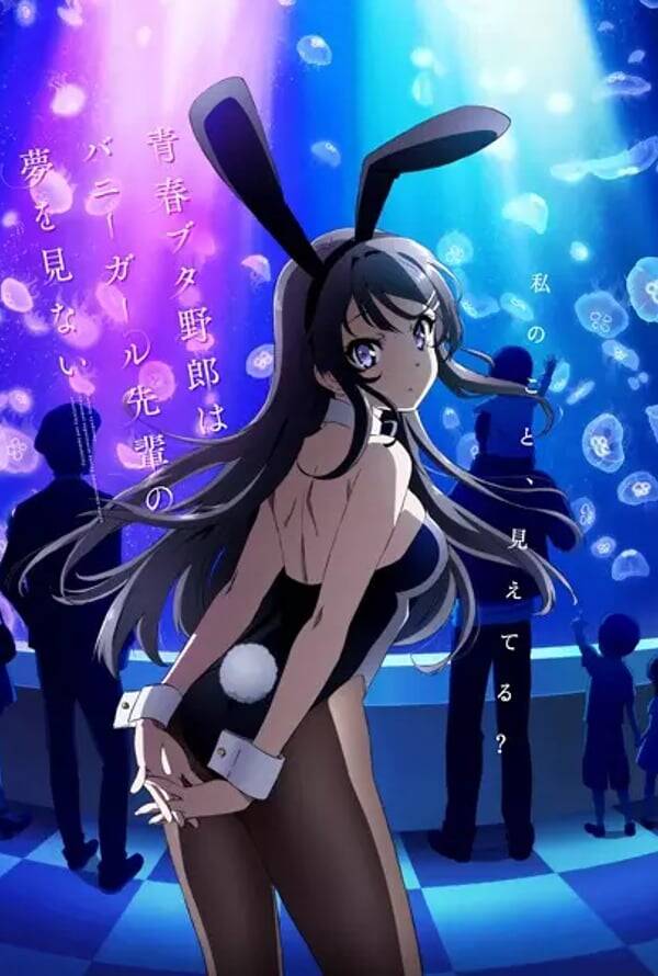 Rascal Does Not Dream of Bunny Girl Senpai