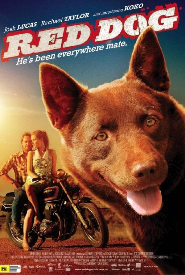 Red Dog