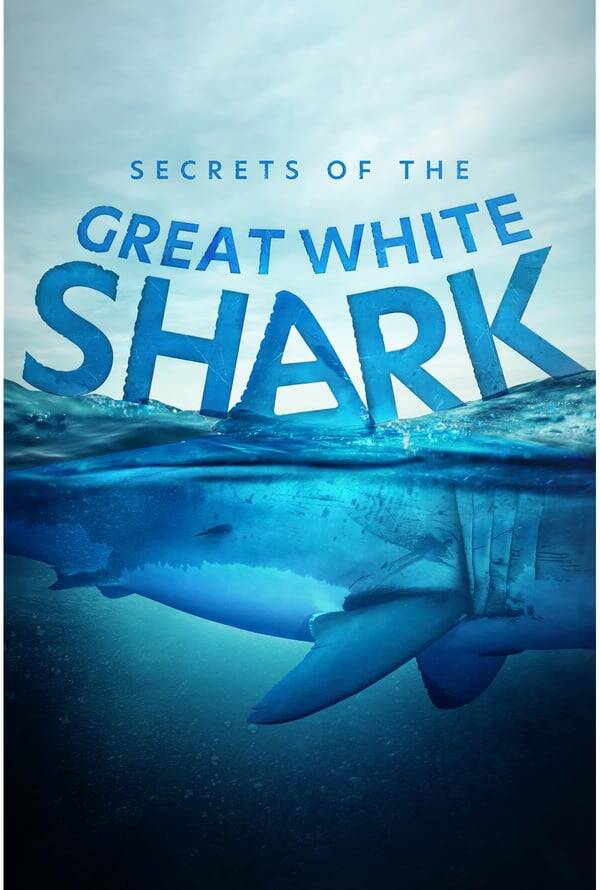 Secrets of the Great White Shark