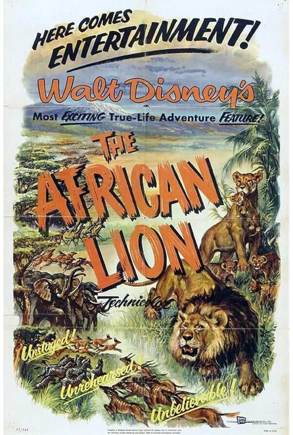 The African Lion