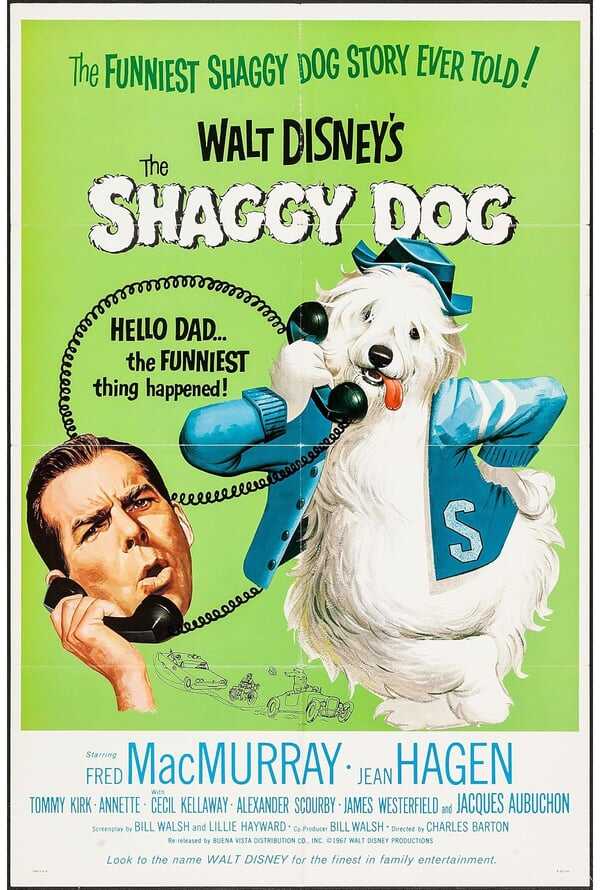 The Shaggy Dog