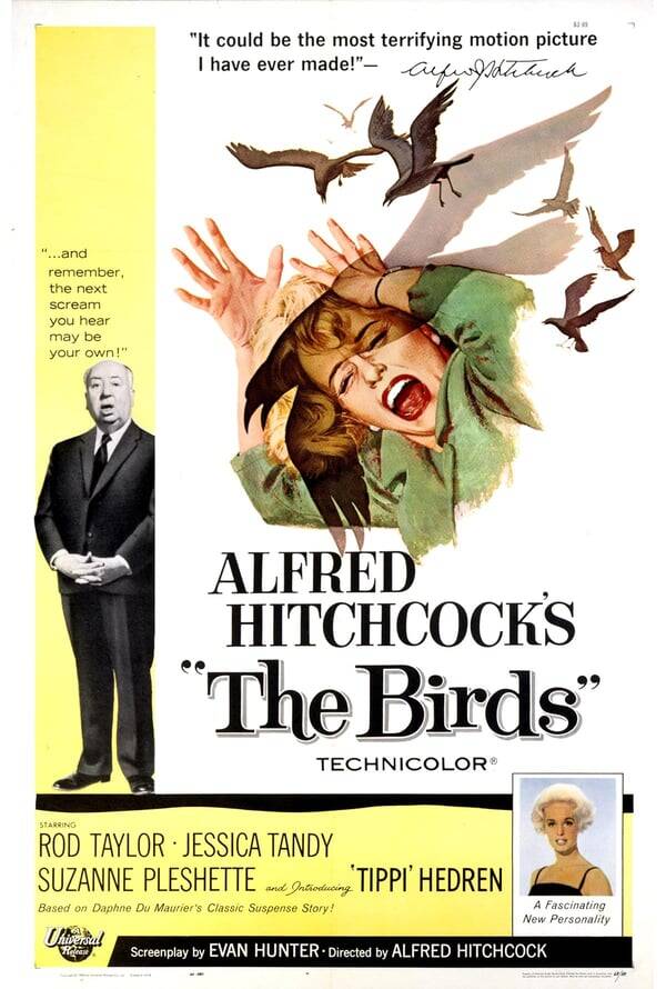 The Birds
