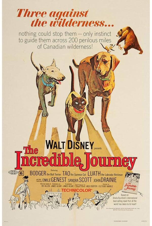 The Incredible Journey