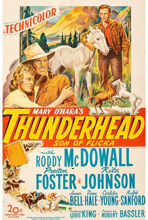 Thunderhead: Son of Flicka
